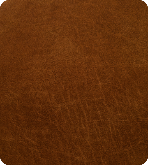 Textura piel